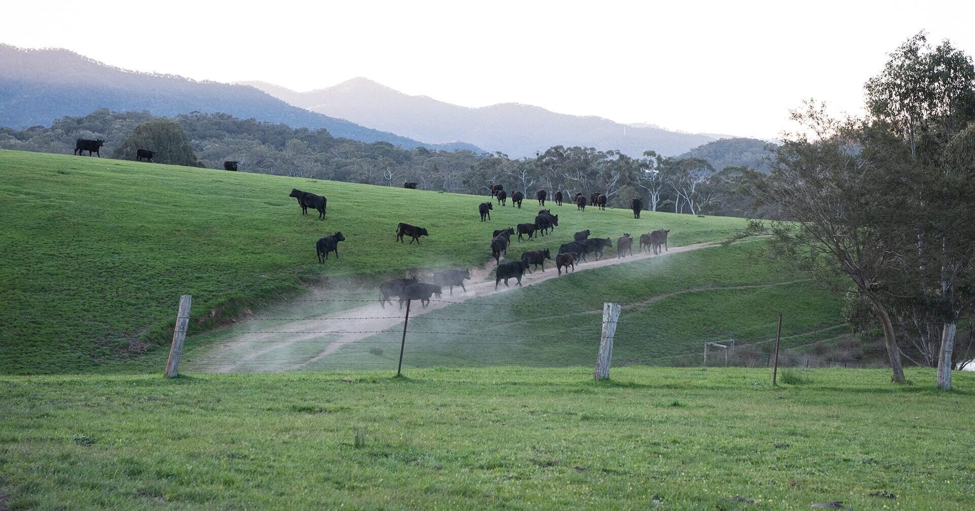 5,5 га землі.